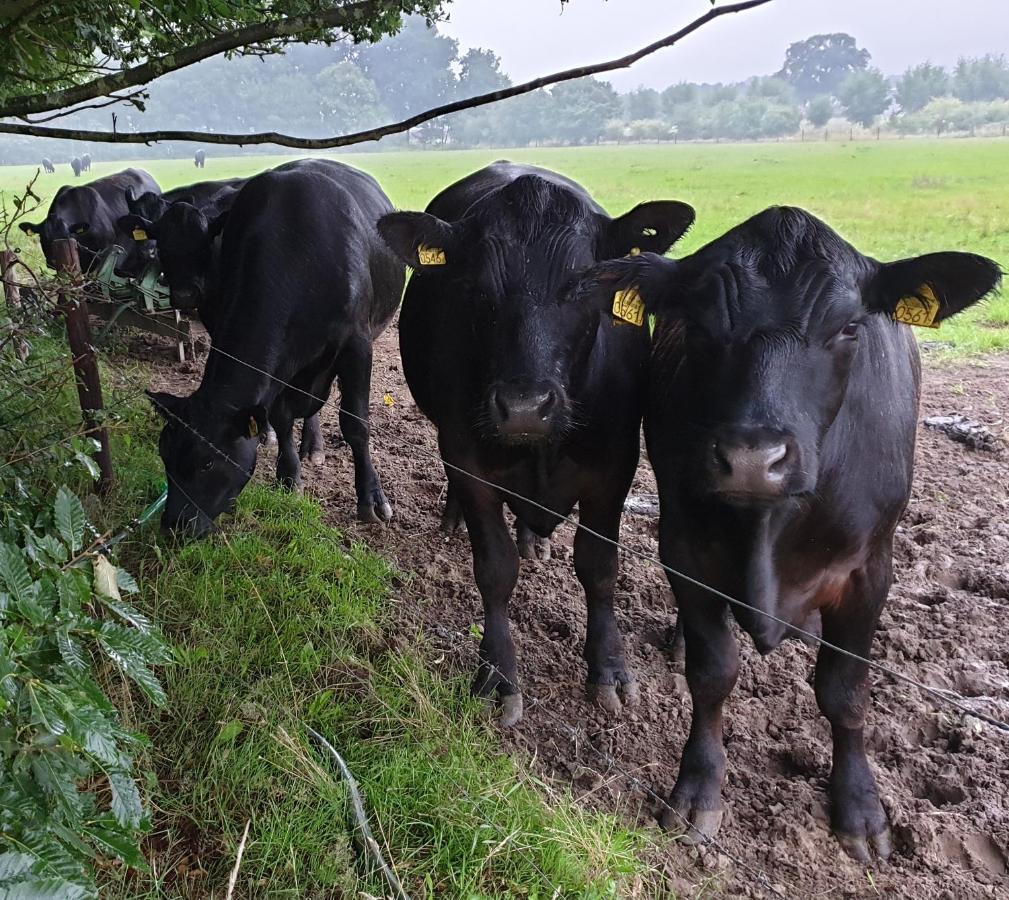 B&B De Scherpenhof Leur Zewnętrze zdjęcie