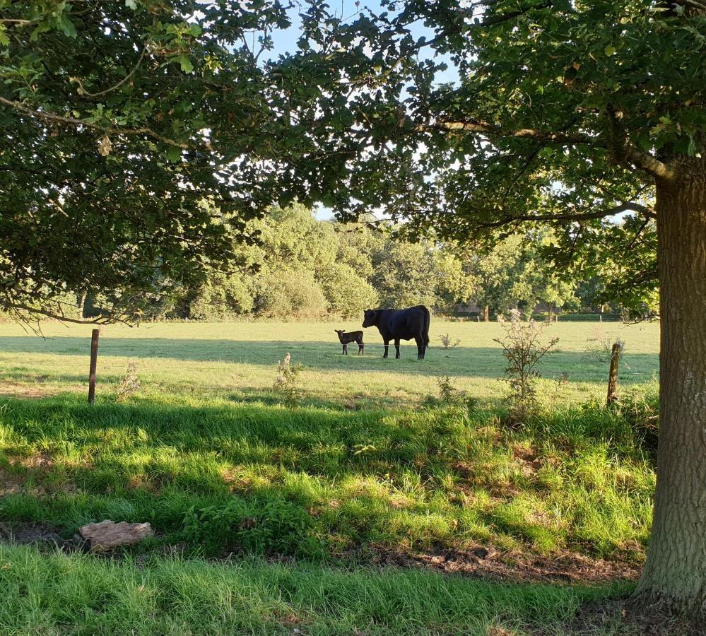B&B De Scherpenhof Leur Zewnętrze zdjęcie